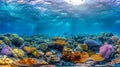 Vibrant underwater marine life in high resolution coral reef photo taken with fisheye lens