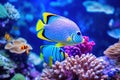 Vibrant Underwater Scene with Exotic Fish and Coral Royalty Free Stock Photo