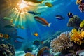 A vibrant underwater scene