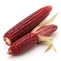 Siam Ruby Queen Thai red corn isolated on white background Royalty Free Stock Photo