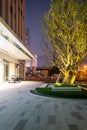 Urban Night Scene with Illuminated Tree and Modern Architecture Royalty Free Stock Photo