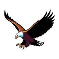 Dynamic Bald Eagle Swooping Mascot Vector Illustration Royalty Free Stock Photo