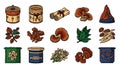 Traditional Asian Medicine Herbs and Ingredients Vector Set Royalty Free Stock Photo