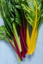 Vibrant vegetable, swiss rainbow chard