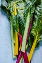 Vibrant vegetable, swiss rainbow chard