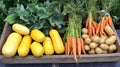 Vibrant vegetables like squash, potatoes, and carrots on display at a stall. Royalty Free Stock Photo