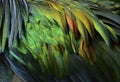 Vibrant of velvet green to copper with grey mix in beautiful background of wild bird wing texture Royalty Free Stock Photo