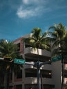 Vibrant view of a bustling urban street corner, featuring a towering palm tree at the corner