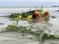 Vibrant view of yellow and orange flowers against a vast blue ocean Royalty Free Stock Photo