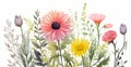 Vibrant Vignettes: A Floral Showcase in Clip Studio Paint