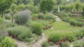 A vibrant village herb garden with aromatic plants.