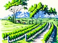 Vibrant Vines: A Watercolor Tapestry of Tuscan Vineyards Royalty Free Stock Photo