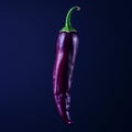 Vibrant Violet Chili Pepper On Dark Blue Background Royalty Free Stock Photo