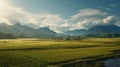 Vibrant Vistas: Breathtaking Paddy Field Landscape In Rural Thailand