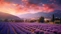 Vibrant Vistas: Lavender Fields Awakened by the Setting Sun