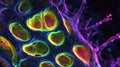 Vibrant visualization of cellular structures in science
