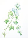 Vibrant Watercolor Artwork of Jade Vine Flower on White Background AI Generated