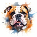 Vibrant Watercolor Bulldog Portrait: Hyper-realistic Animal Illustration Royalty Free Stock Photo