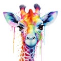 Vibrant Watercolor Giraffe Portrait. Generative ai Royalty Free Stock Photo
