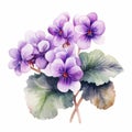 Vibrant Watercolor Illustration Of Violet Violets In Chen Zhen Style