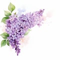 Vibrant Watercolor Paintings Of Lilac Flowers With Elaborate Borders Royalty Free Stock Photo