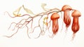 Vibrant Watercolor Rendering of Uebelmannia Pectinifera on White Background AI Generated