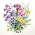 Vibrant Watercolor Wild Flowers: Detailed Botanical Art With A Touch Of Dutch Influence