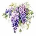 Vibrant Watercolor Wisteria Bouquet: Detailed Botanical Art In Dutch Style