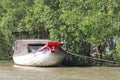 A vibrant Wet boat market on the Makong Delta  Souther part of the country where the major industry is farming Royalty Free Stock Photo