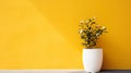 Vibrant White Flower Pot Against Yellow Wall: A Serene Minimalistic Japanese Design Royalty Free Stock Photo