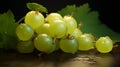 Vibrant White Grapes With Water Drops - Stunning Vray Tracing Composition