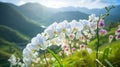 Vibrant White Orchids In Bloom: A Joyful Celebration Of Nature