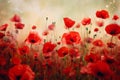 Vibrant Wild Poppy Field