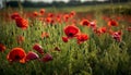 Vibrant wildflowers bloom in the rural meadow generated by AI Royalty Free Stock Photo