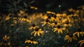 Vibrant Wildflowers Stand Out Against A Dark, Dramatic Backdrop For A Stunning Scene. Generative AI