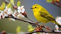 A vibrant WilsonÃ¢â¬â¢s Warbler perched on a blooming branch. AI Generative