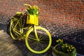 Vibrant yellow bicycle with basket of daffodil flowers on rustic brick wall background Royalty Free Stock Photo