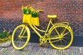 Vibrant yellow bicycle with basket of daffodil flowers on rustic brick wall background Royalty Free Stock Photo