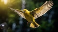 Vibrant Yellow Bird In Flight: Stunning Vray Tracing And Backlit Photography