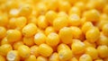 Vibrant yellow corn kernels close up highlighting their glossy texture and rounded forms Royalty Free Stock Photo