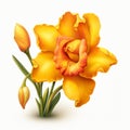 Vibrant Yellow Daffodil Flower Illustration With Realistic Detail Royalty Free Stock Photo
