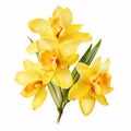 Vibrant Yellow Freesia Clipart: Hyper-realistic Floral Illustration