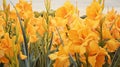 Vibrant Yellow Iris Oil Painting By Amanda Clark - Detailed Skies And Panoramic Scale Royalty Free Stock Photo