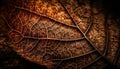 Vibrant yellow leaf vein creates textured pattern in autumn forest generated by AI Royalty Free Stock Photo