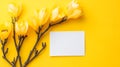 Vibrant Yellow Magnolia Blossoms with Blank Notecard on Yellow Background Royalty Free Stock Photo