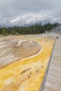 Vibrant yellow and orange colored bacterial deposits