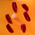 Vibrant yellow and red lily in close-up, with the middle portion in focus