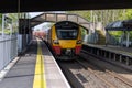 a yellow and red train passing under a bridge on a track Royalty Free Stock Photo