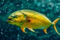 Vibrant Yellow Spotted Fish Swimming in Crystal Clear Blue Ocean Water with Sunlight Filtering Through