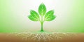 A vibrant young sapling with extensive root system, symbolizing growth and stability. Generative AI Royalty Free Stock Photo